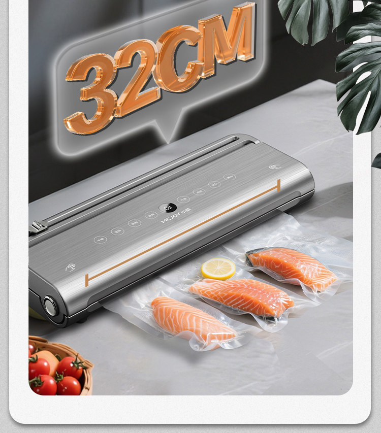 진공 포장기 및 진공 포장 장비, 이중 펌프 방식 진공 - Food Vacuum Sealer Machine 리뷰 및 가격