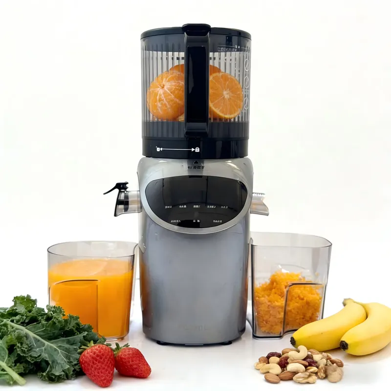 6.3인치 전기 슬로우 주서 350W 스테인리스 스틸  - Electric Slow Juicer Cold Press 리뷰 및 가격